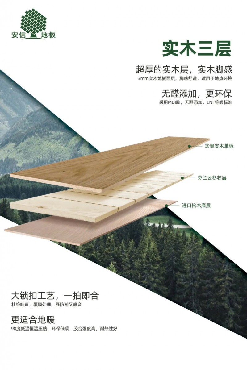 极简生活新风尚：安信白蜡木地板天际灰打造高端家居感(图2)